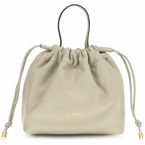 Chloé Gray Lamb Ovis Aries Aries Shoulder Bag