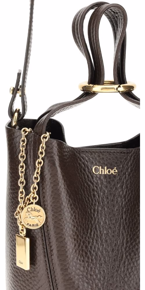 Chloé Brown Calf Leather Bos Taurus Shoulder Bag