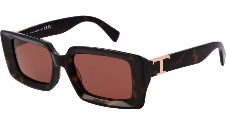 Tod's Brown Acetate Sunglasses