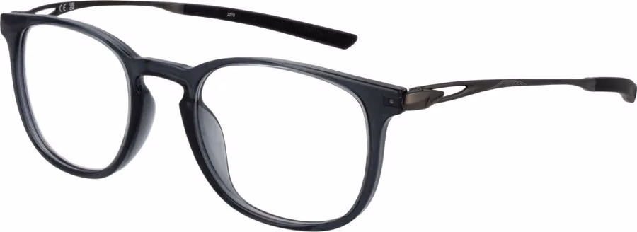 Nike Gray Titanium Glasses (Frames)